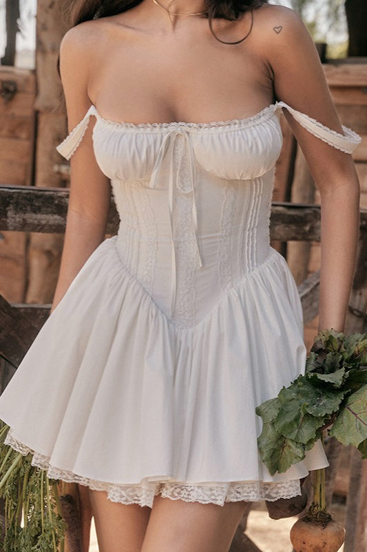 Spaghetti Strap Lace Trim Ballet a Line Sleeveless Mini Dress