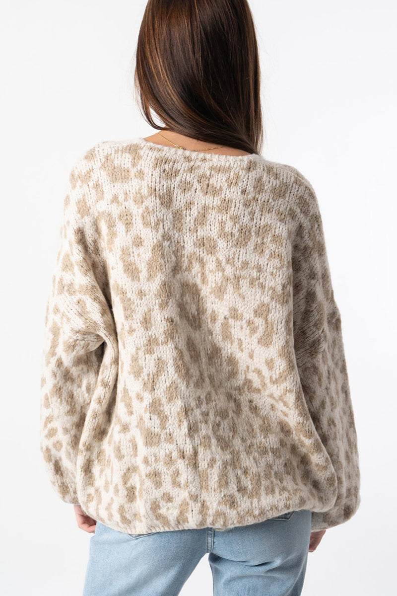 Loose Fit Colorblock Cardigan