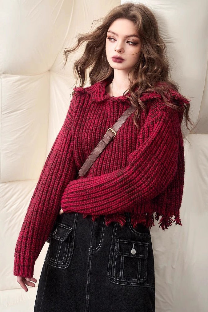 Color Tassel Trim Short Chunky Sweater