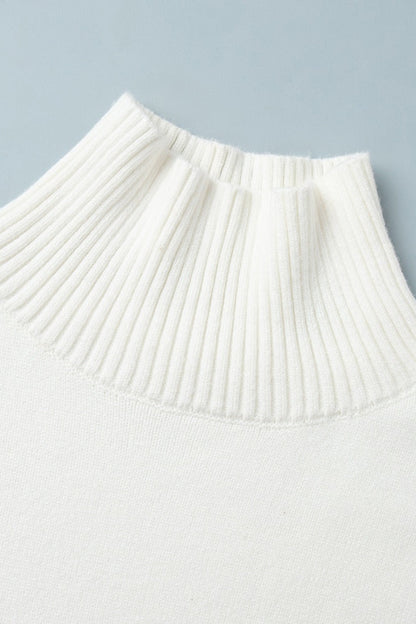 Color Turtleneck Knit Sweater
