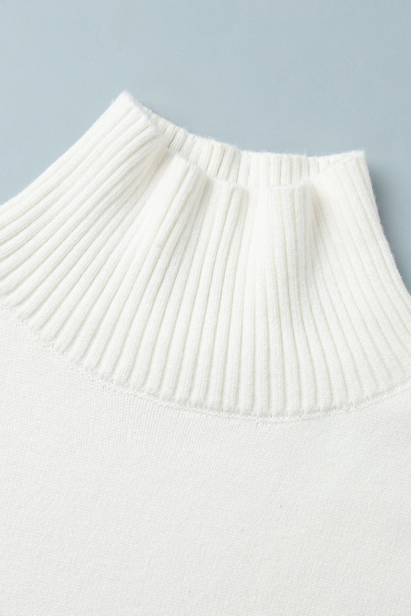 Color Turtleneck Knit Sweater