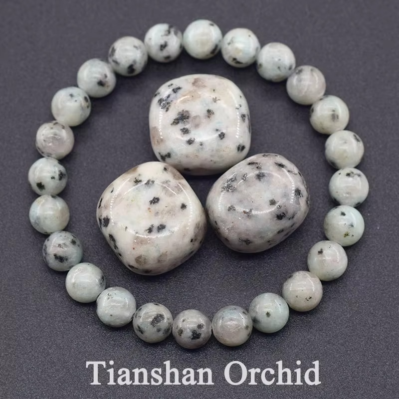 Elegant Tianshan Orchid