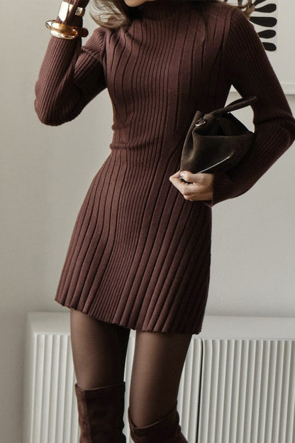Playful Knit Mock Neck Long Sleeve a Line Mini Dress
