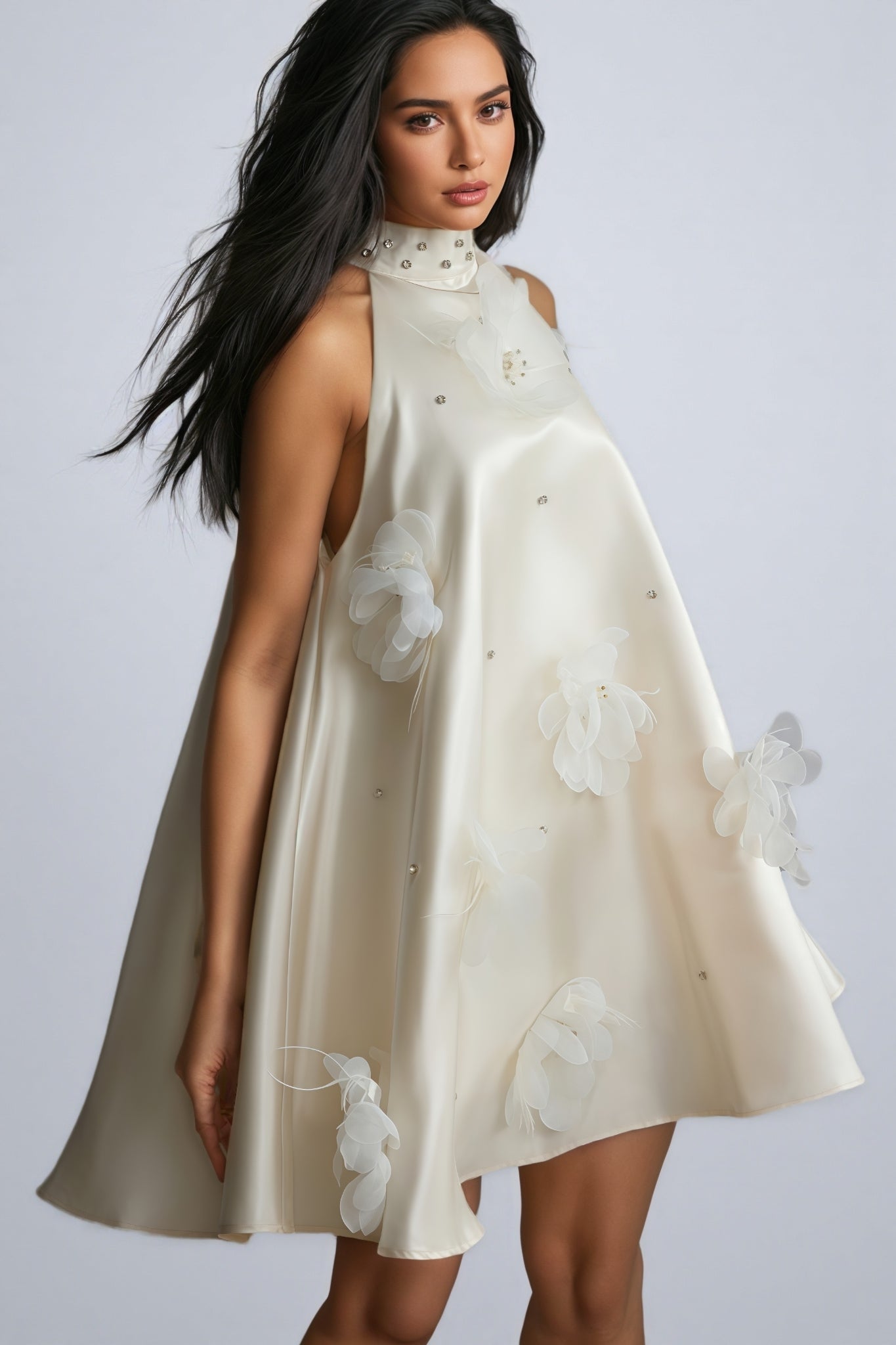 Eliza Applique Sleeveless Mini Dress