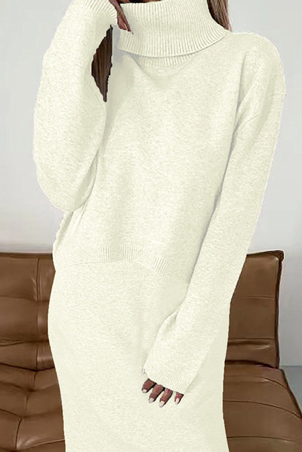 Color Turtleneck Sweater and Knee Length Dress Set