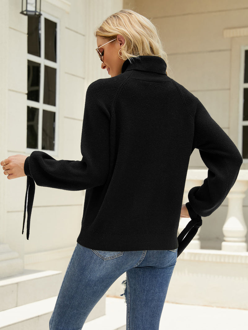 Zeruah Turtle Neck Knit Sweater - Black