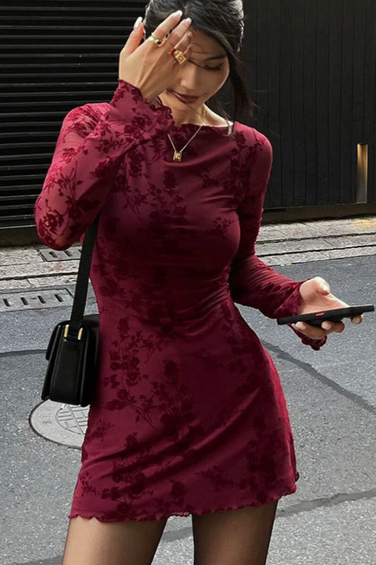Mesh Long Sleeve Bodycon Dress