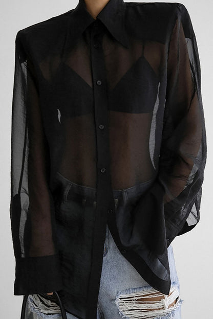 Mesh Sheer Long-sleeve Loose Blouse