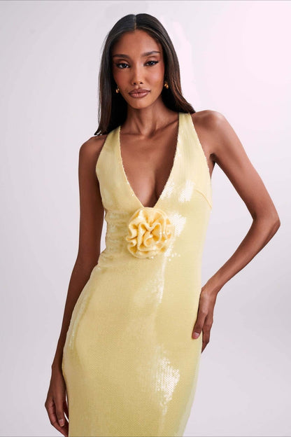 Backless Sequin Maxi Dress