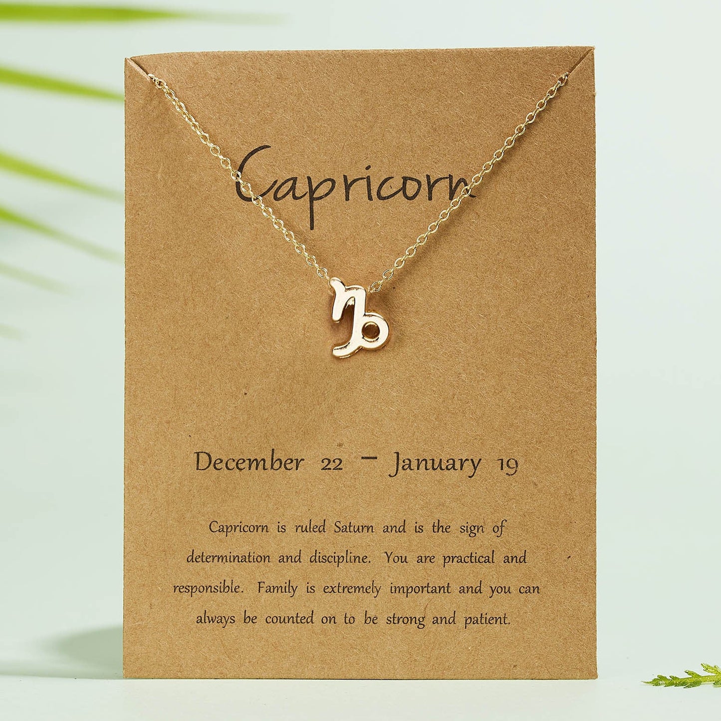 Capricorn Zodiac Necklace