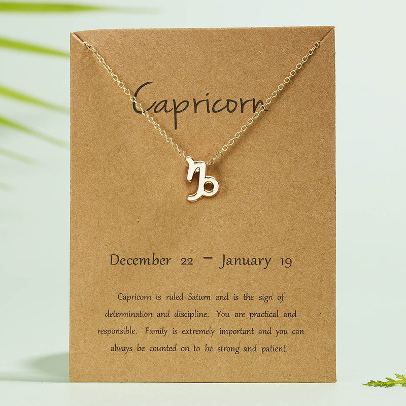 Capricorn Zodiac Necklace