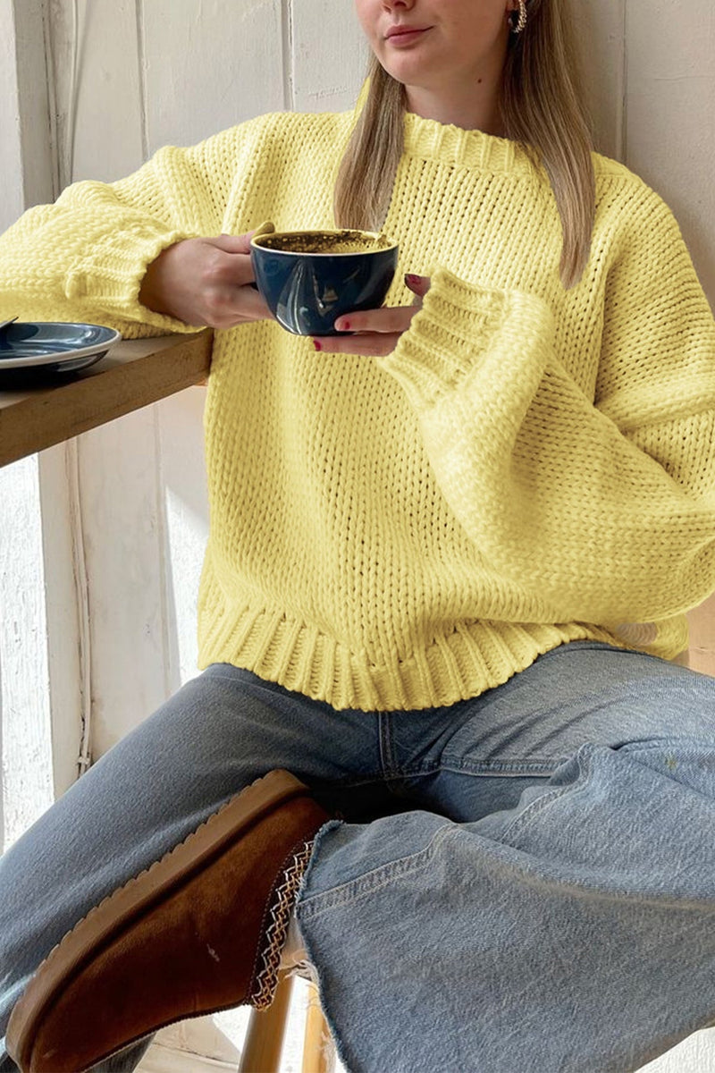 Minimalist Color Loose Crewneck Knit Sweater