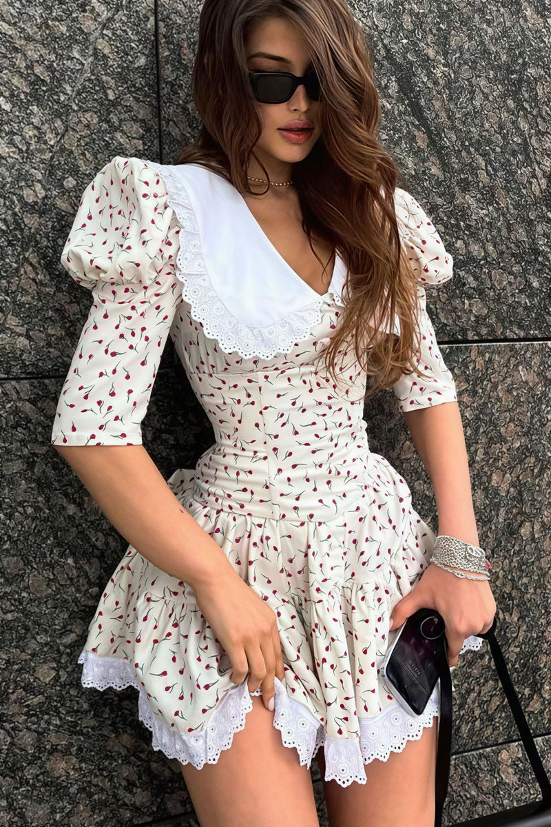 Peter Pan Collar Short Sleeve Mini Dress