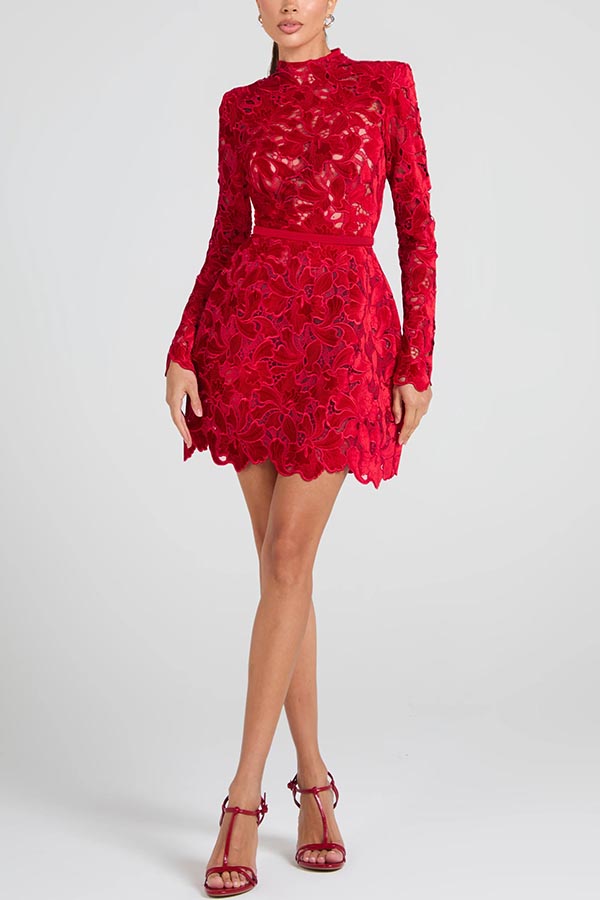 Lydia Embroidered Lace Long Sleeve Belt Tulip Shaped Mini Dress