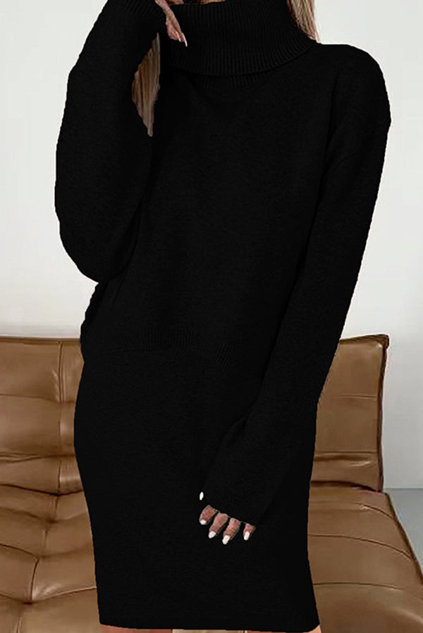Color Turtleneck Sweater and Knee Length Dress Set