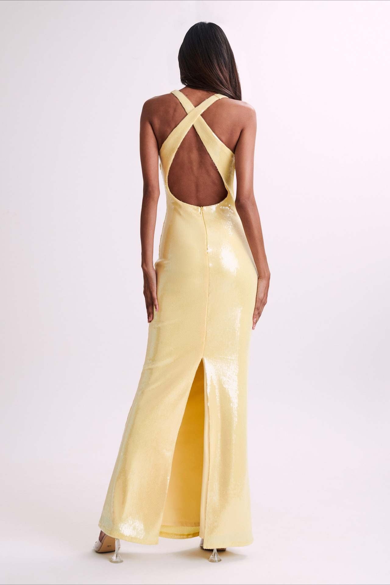 Backless Sequin Maxi Dress