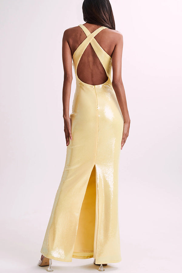 Sicilian Rose Sequin Three-dimensional Backless Maxi Dress