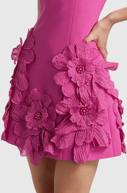 Adalgisa Appliqué Mini Dress - Pink