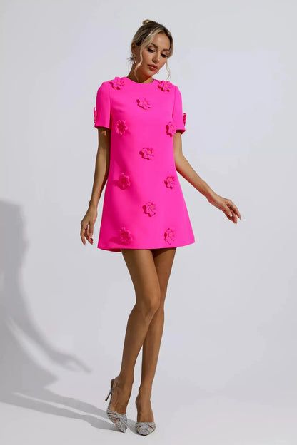 Alexa Mini Dress