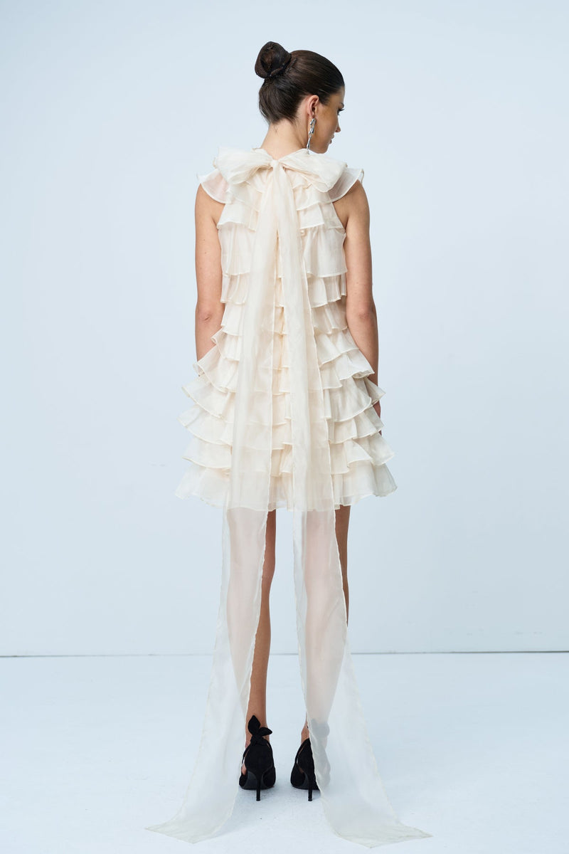 Ames Ruffle Ruch Sleeveless Mini Dress in Apricot