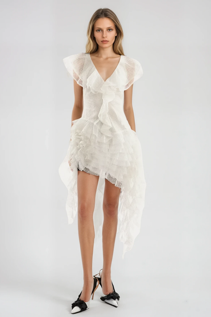 Anshu Ruffle Mesh Fringe Mini Dress
