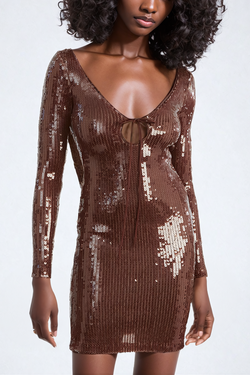 Aoibhe Long Sleeve Sequin Mini Dress in Brown
