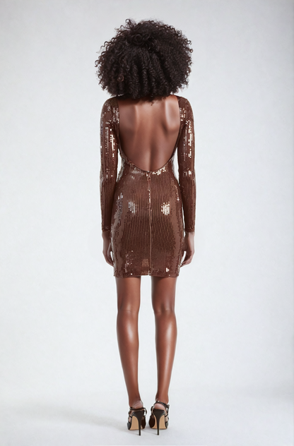 Aoibhe Long Sleeve Sequin Mini Dress in Brown