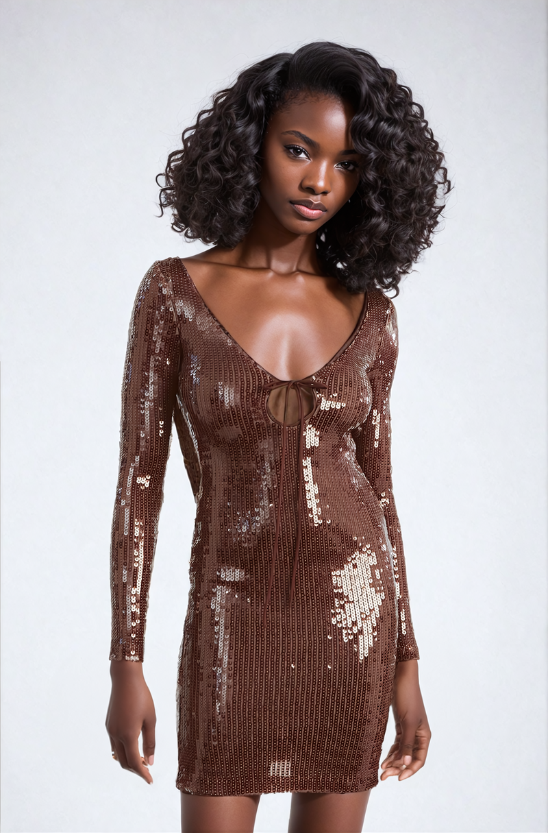 Aoibhe Long Sleeve Sequin Mini Dress in Brown