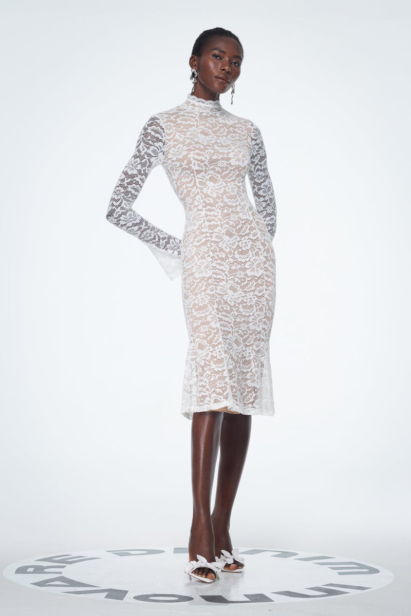 Babatunde Lace Bodycon Midi Dress