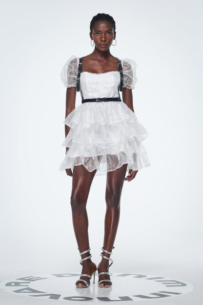 Babis Mesh Ruffle Mini Dress