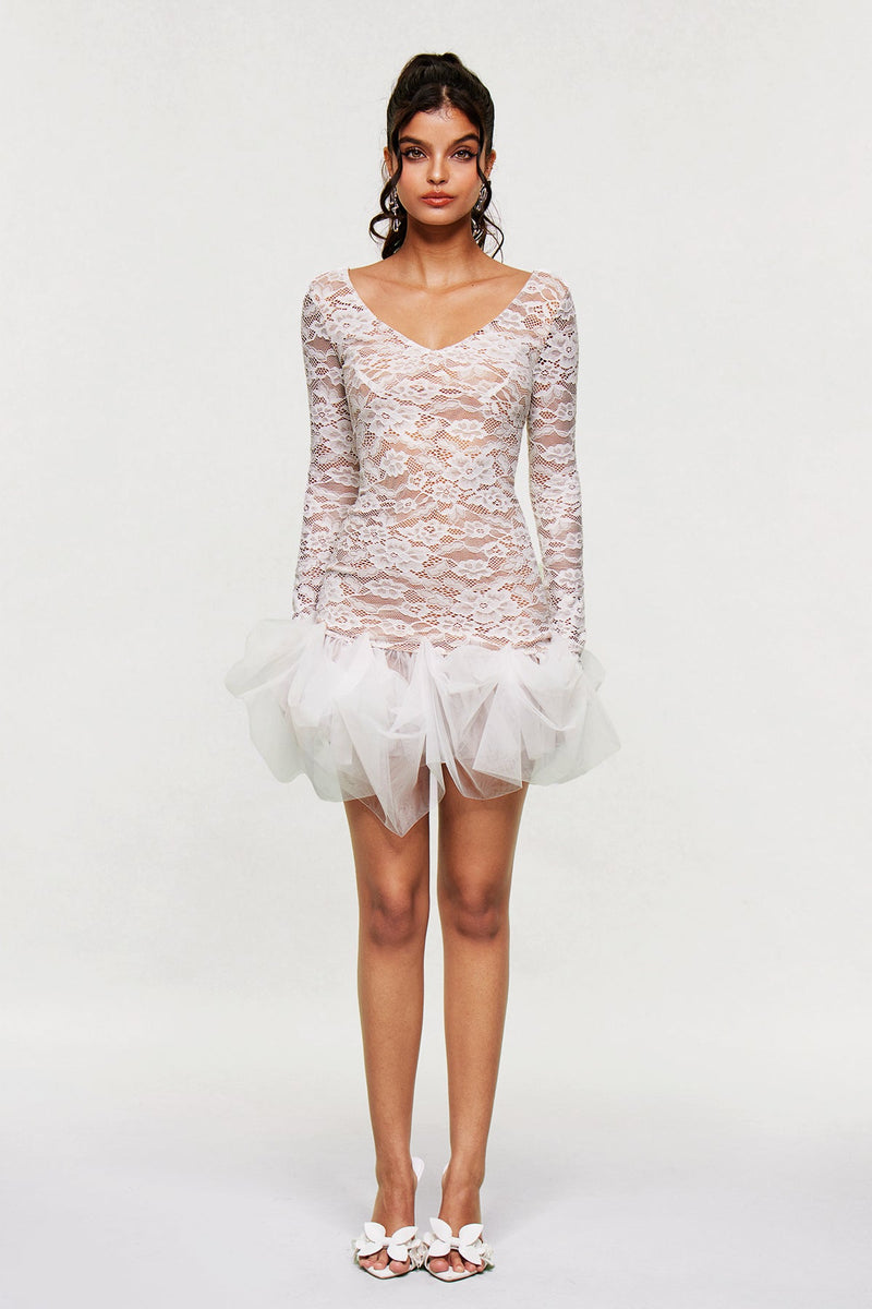 Barun Lace Mesh V Neck Mini Dress