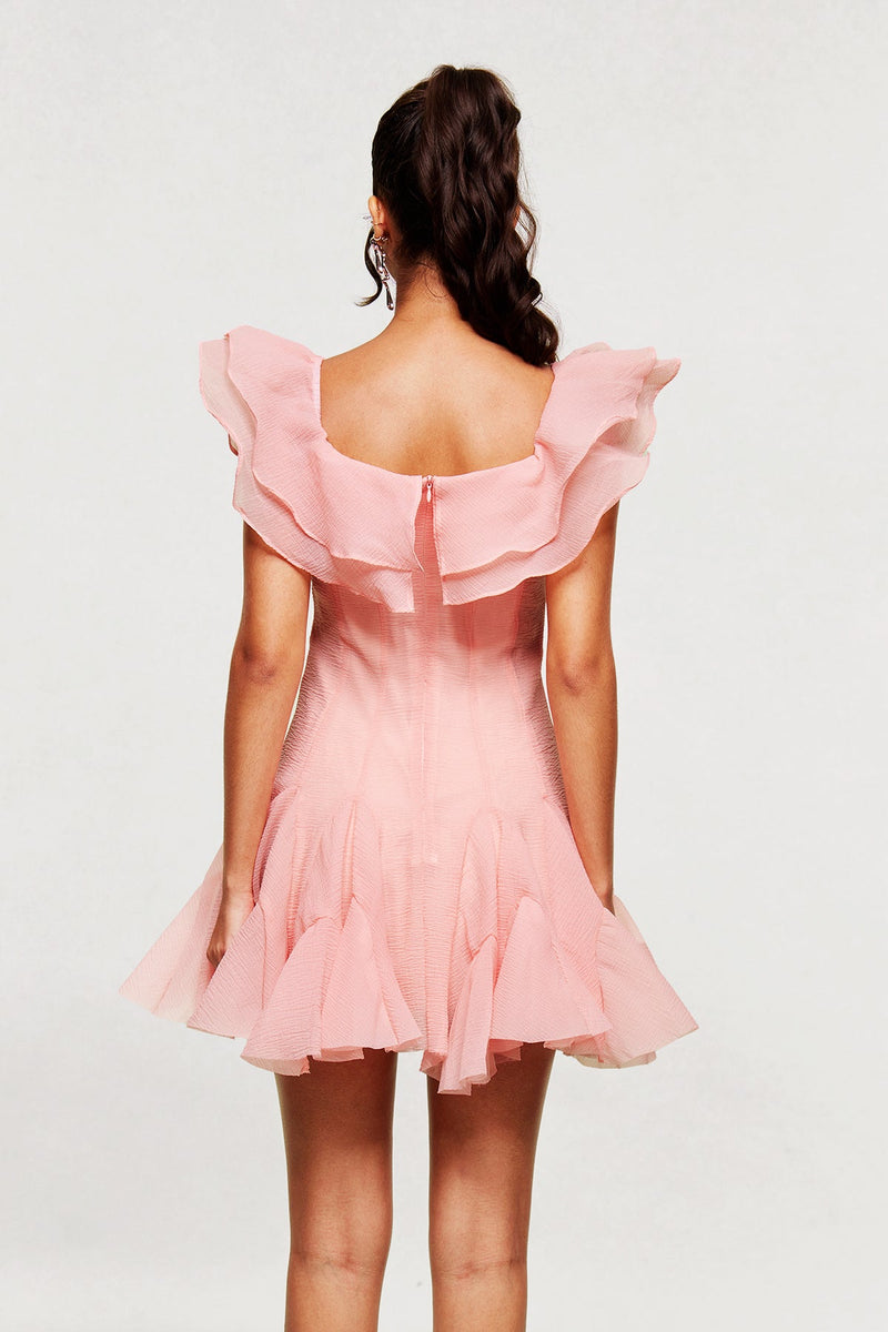 Blago Ruffle Corset Mini Dress in Pink
