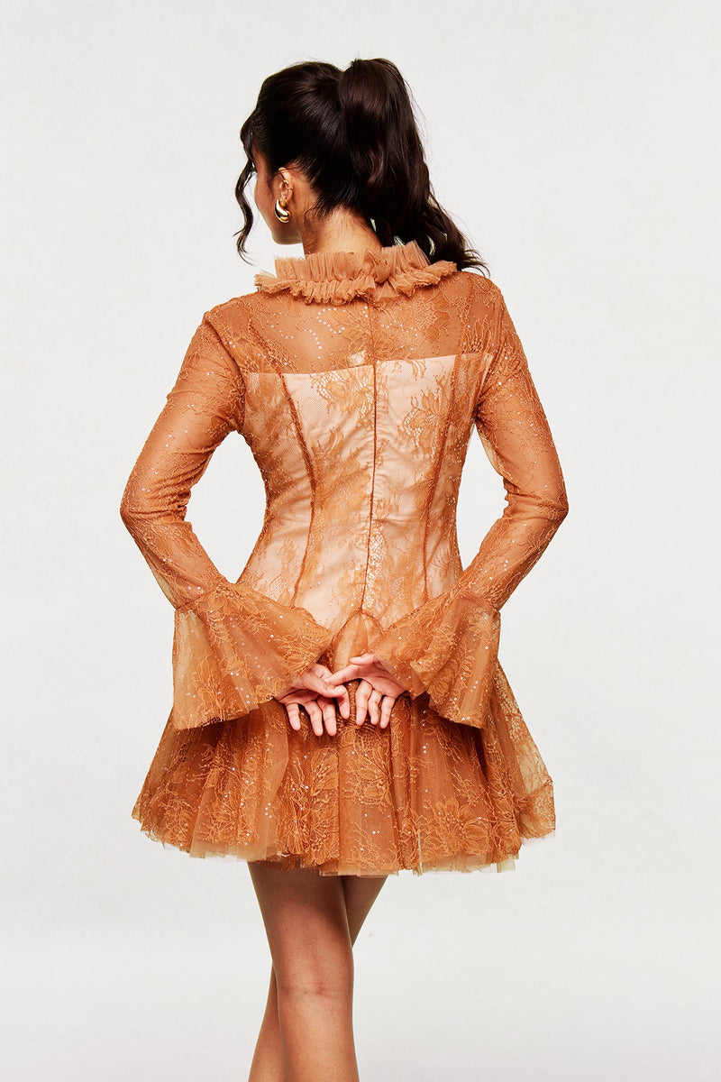 Blanid Lace Embroidered Ruffle Mini Dress in Brown