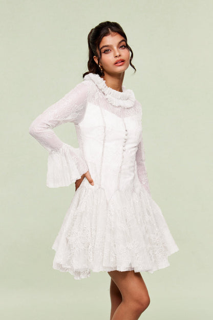 Blanid Lace Embroidered Ruffle Mini Dress in White