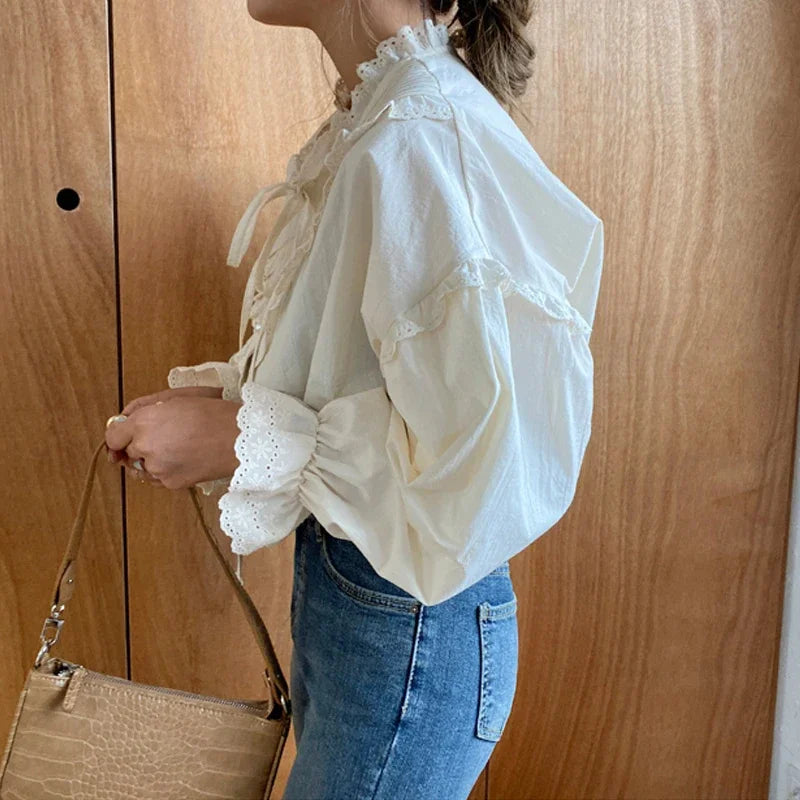 Spring Loose Lantern Sleeve Blouse