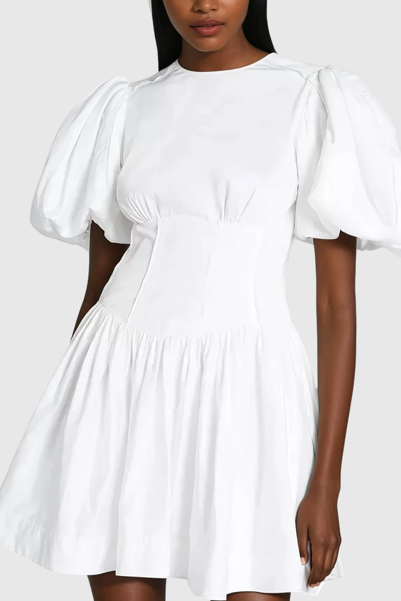 Boyka Balloon Sleeve Ruch Mini Dress