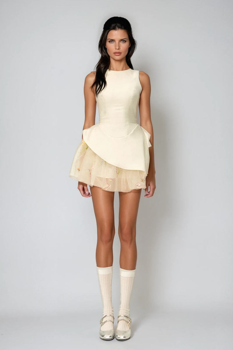 Brais Asymmetric Mesh Mini Dress