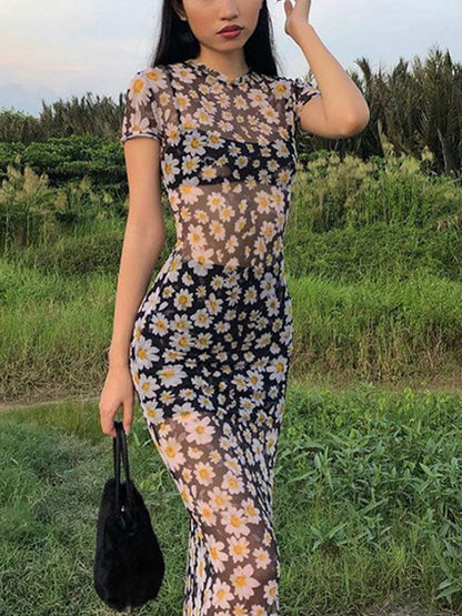 Mesh Slim Maxi Dress With Daisy Print