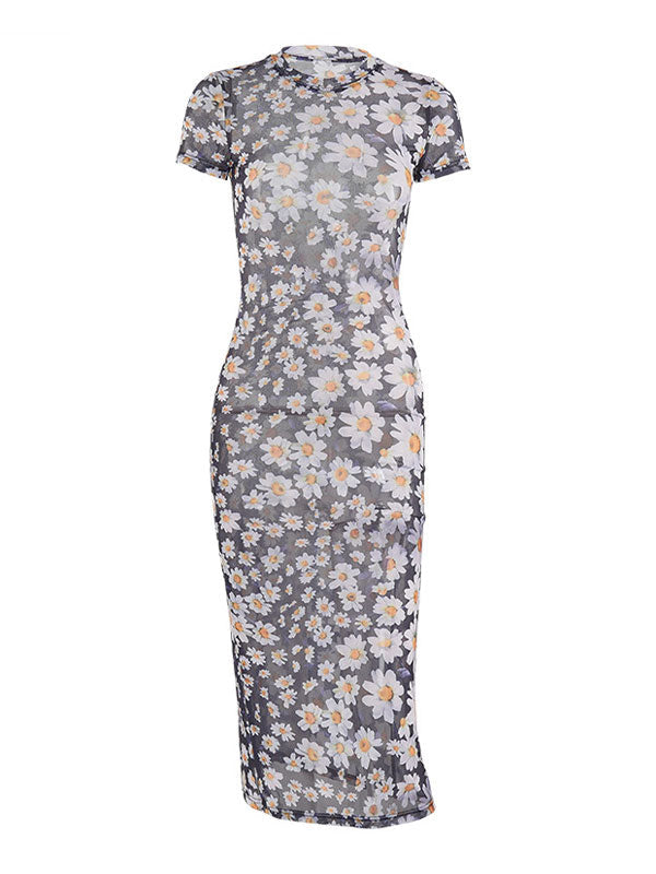 Mesh Slim Maxi Dress With Daisy Print