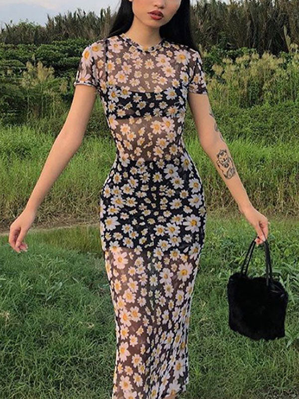 Mesh Slim Maxi Dress With Daisy Print