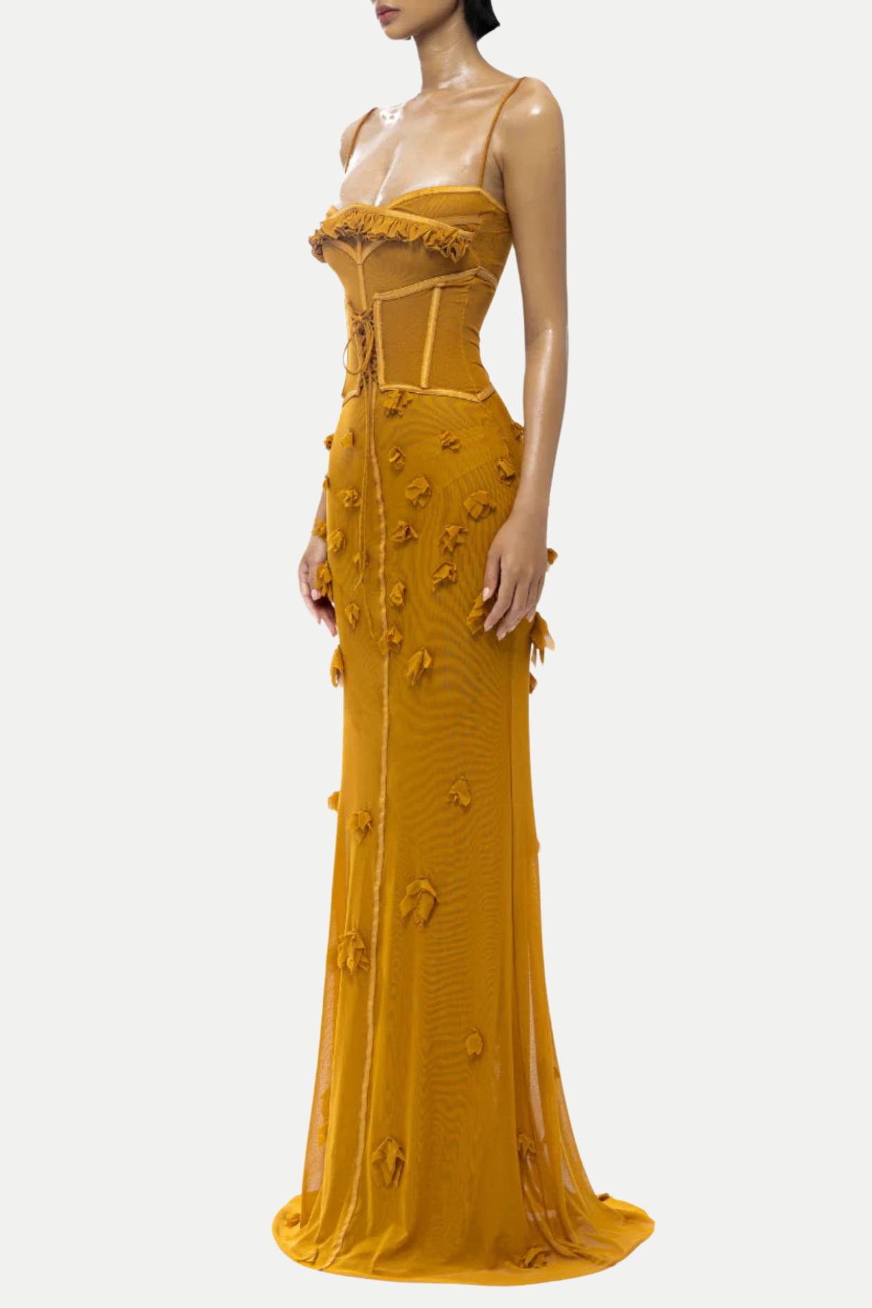 Caelia Corset Mesh Maxi Dress