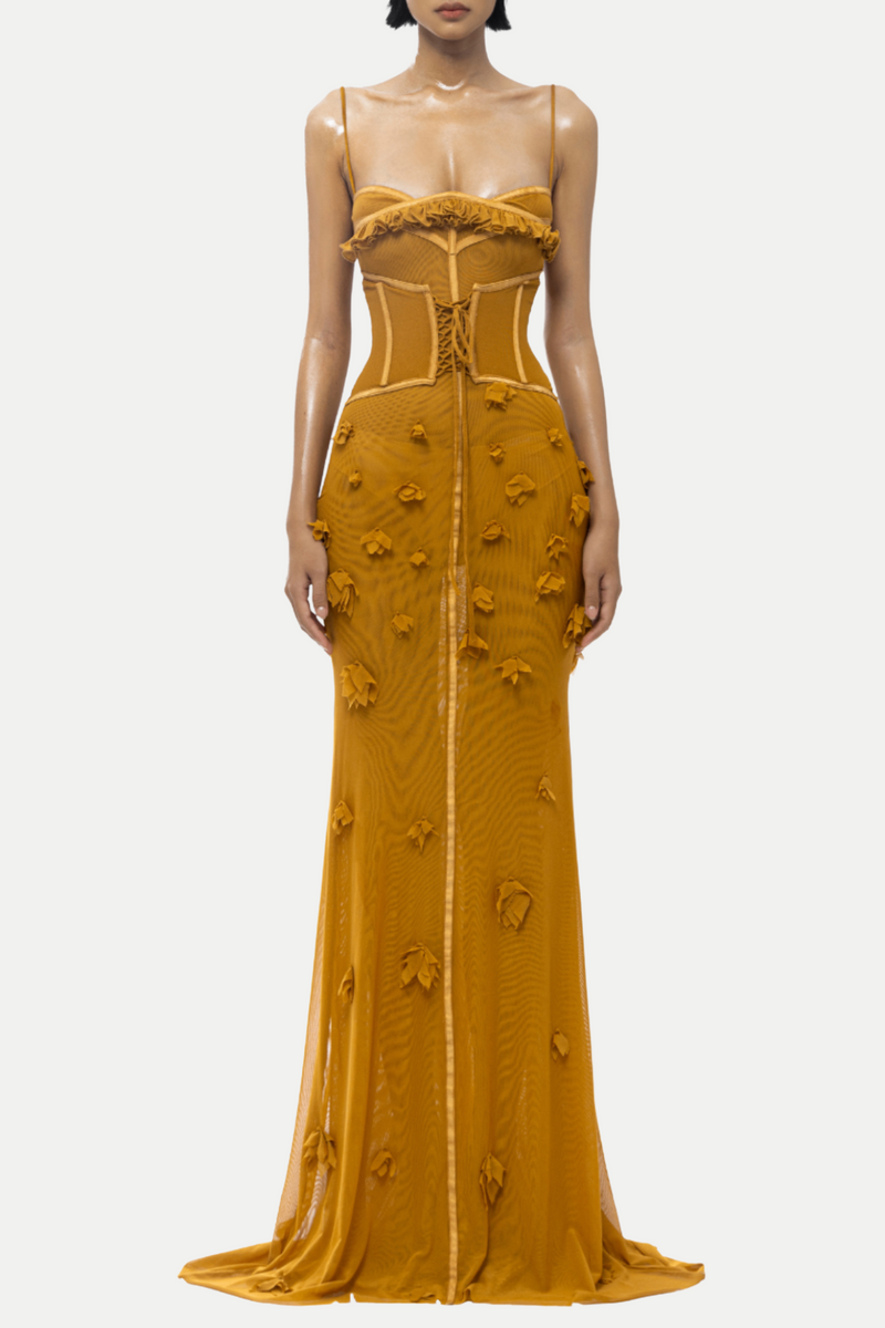 Caelia Corset Mesh Maxi Dress