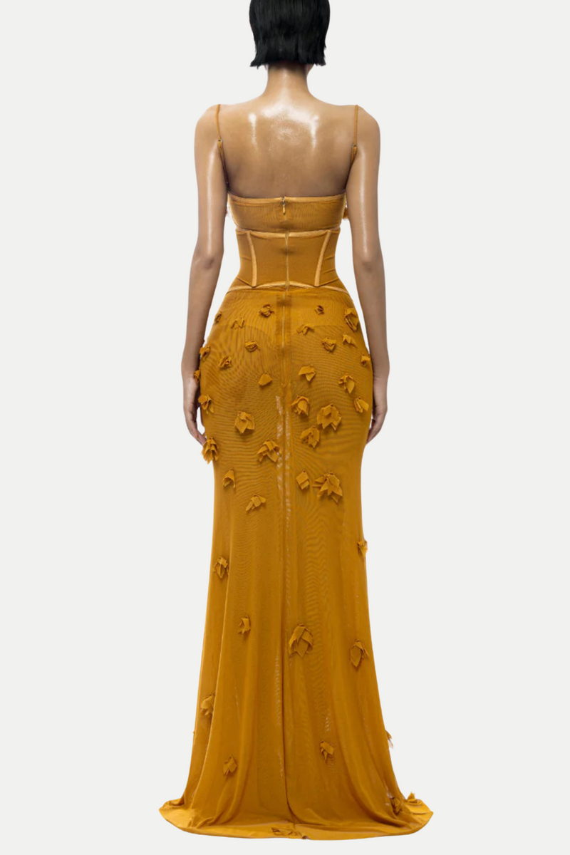 Caelia Corset Mesh Maxi Dress