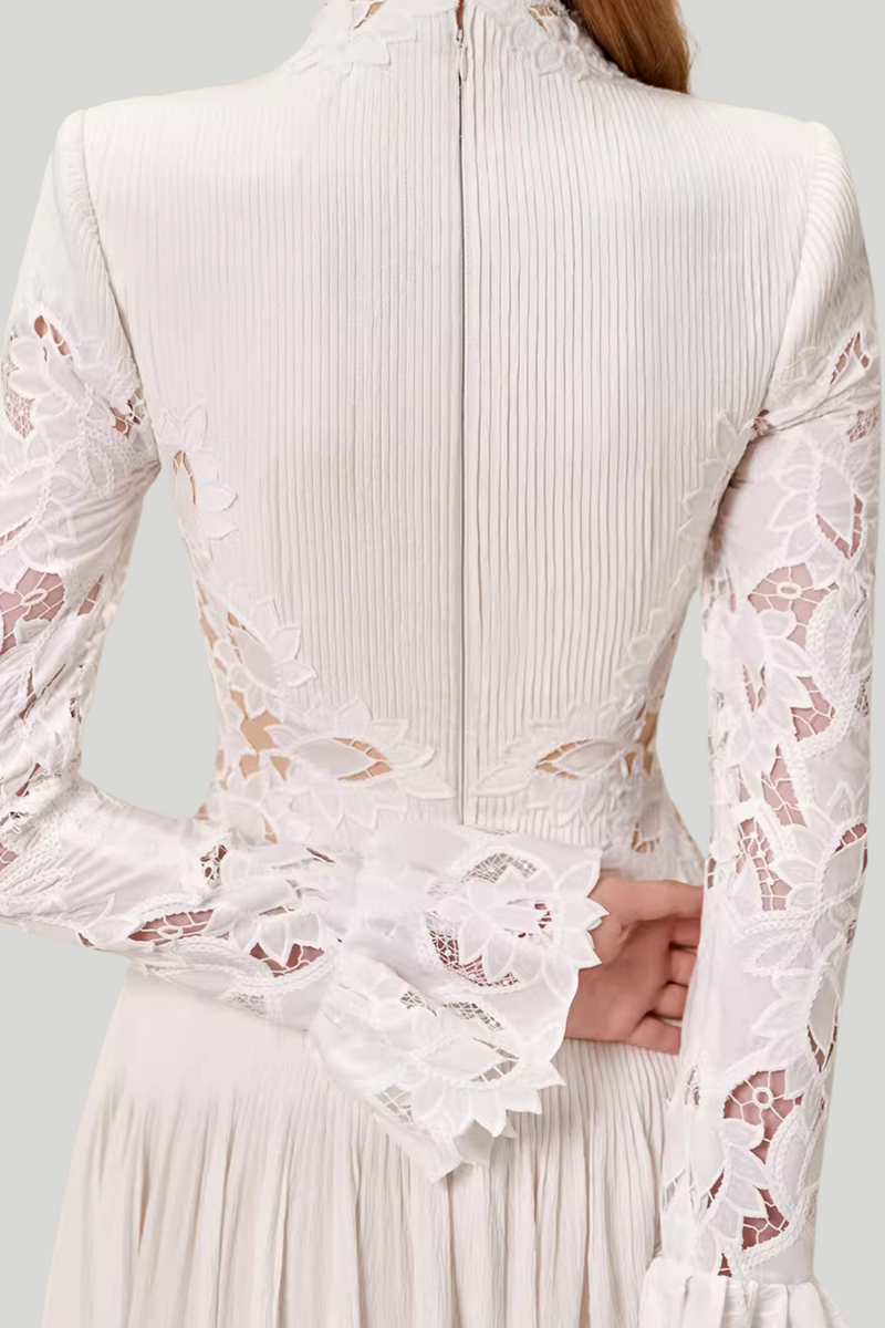 Caesarius Embroidered Ruch Lace Mini Dress