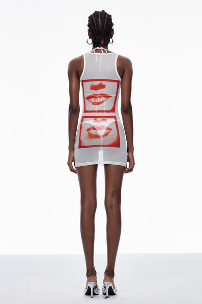 Caradoc Print Mesh Mini Dress
