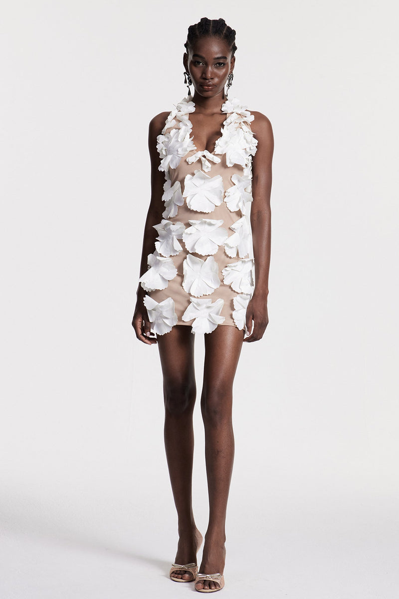 Chizqiyahu Flower Halter Neck Mesh Mini Dress