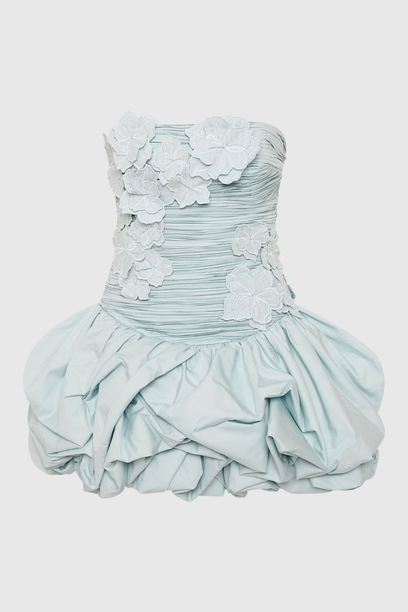 Coleka Appliqué Strapless Mini Dress