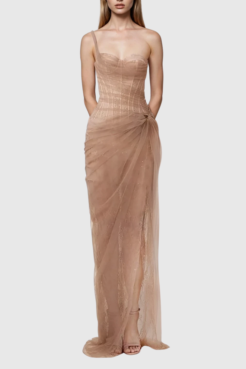 Dechen One Shoulder Corset Mesh Maxi Dress in Brown