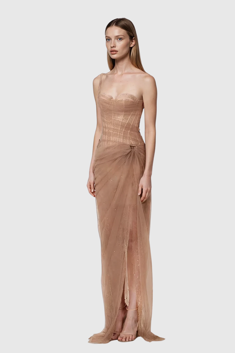 Dechen One Shoulder Corset Mesh Maxi Dress in Brown