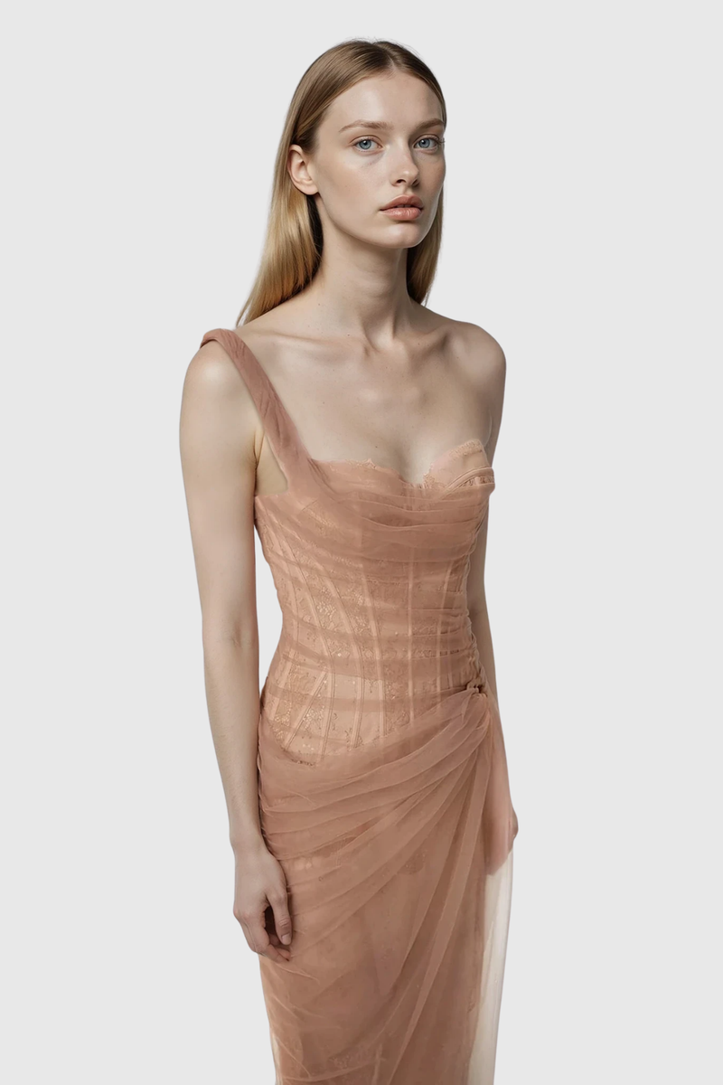 Dechen One Shoulder Corset Mesh Maxi Dress in Brown